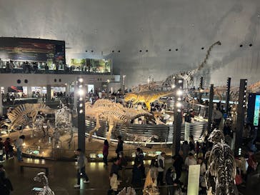 福井県立恐竜博物館に投稿された画像（2026/2/25）