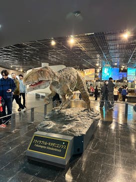 福井県立恐竜博物館に投稿された画像（2026/2/25）