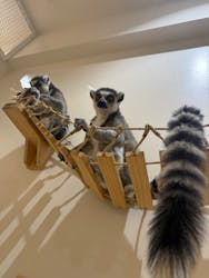 アニタッチららぽーと名古屋みなとアクルスに投稿された画像（2026/2/25）