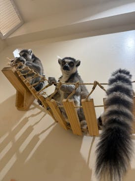 アニタッチららぽーと名古屋みなとアクルスに投稿された画像（2026/2/25）