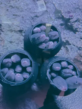 仙台うみの杜水族館に投稿された画像（2026/2/25）