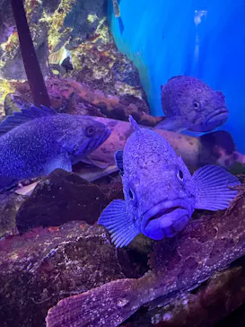 仙台うみの杜水族館に投稿された画像（2026/2/25）