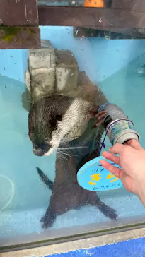 ゼロ距離水族館 伊勢シーパラダイスに投稿された画像（2026/2/26）