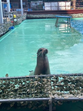 あわしまマリンパークに投稿された画像（2026/2/26）