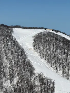 星野リゾート　ネコマ マウンテンに投稿された画像（2026/2/26）