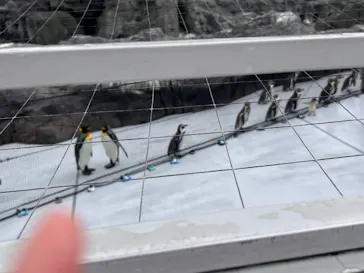 葛西臨海水族園に投稿された画像（2026/2/26）