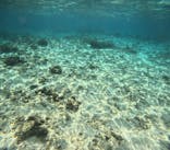 沖縄マリンサービス碧に投稿された画像（2026/2/26）