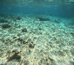 沖縄マリンサービス碧に投稿された画像（2026/2/26）