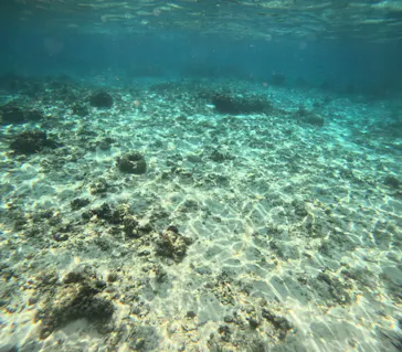 沖縄マリンサービス碧に投稿された画像（2026/2/26）