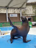 サンシャイン水族館に投稿された画像（2026/2/26）