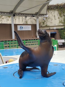 サンシャイン水族館に投稿された画像（2026/2/26）
