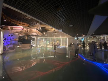 国立科学博物館に投稿された画像（2026/2/26）