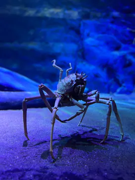 竹島水族館に投稿された画像（2026/2/26）