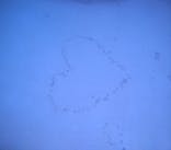 沖縄マリンサービスTI.OCEANに投稿された画像（2026/2/26）