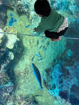越前松島水族館に投稿された画像（2026/2/26）