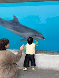 越前松島水族館に投稿された画像（2026/2/26）