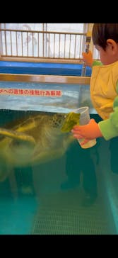 越前松島水族館に投稿された画像（2026/2/26）