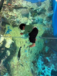 越前松島水族館に投稿された画像（2026/2/26）