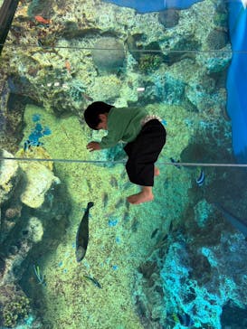 越前松島水族館に投稿された画像（2026/2/26）