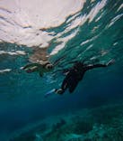 マーレ宮古島に投稿された画像（2026/2/26）