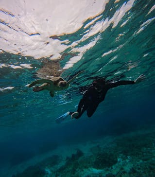 マーレ宮古島に投稿された画像（2026/2/26）