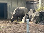 名古屋市東山動植物園に投稿された画像（2026/2/26）