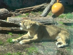 名古屋市東山動植物園に投稿された画像（2026/2/26）