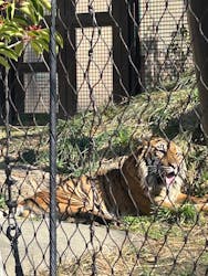 名古屋市東山動植物園に投稿された画像（2026/2/26）
