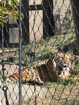 名古屋市東山動植物園に投稿された画像（2026/2/26）