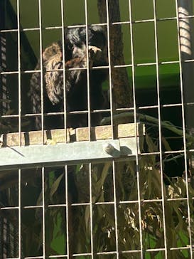 名古屋市東山動植物園に投稿された画像（2026/2/26）