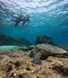 マーレ宮古島に投稿された画像（2026/2/26）