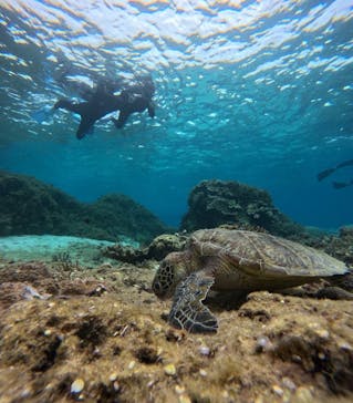 マーレ宮古島に投稿された画像（2026/2/26）