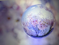 KAGAYA 星空の世界展に投稿された画像（2026/2/26）