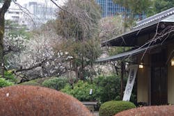 新宿御苑に投稿された画像（2026/2/26）