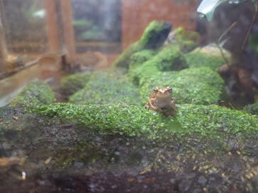 あわしまマリンパークに投稿された画像（2026/2/26）