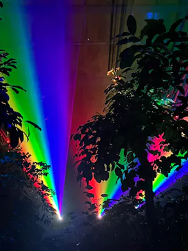 京都府立植物園　LIGHT CYCLES KYOTOに投稿された画像（2026/2/26）