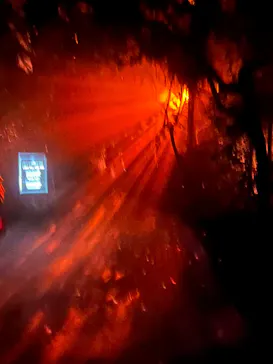 京都府立植物園　LIGHT CYCLES KYOTOに投稿された画像（2026/2/26）