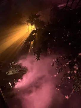 京都府立植物園　LIGHT CYCLES KYOTOに投稿された画像（2026/2/26）