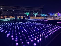 東京メガイルミに投稿された画像（2026/2/26）