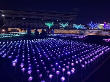 東京メガイルミに投稿された画像（2026/2/26）