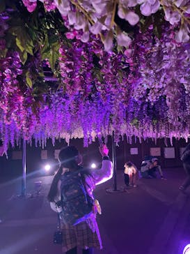 東京メガイルミに投稿された画像（2026/2/26）