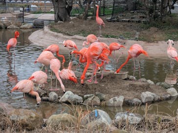 アドベンチャーワールドに投稿された画像（2026/2/27）