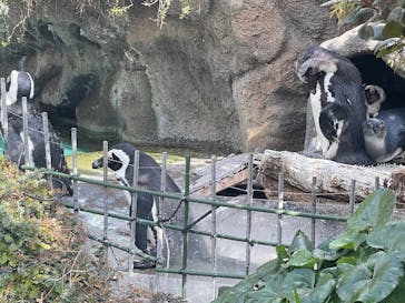 サンシャイン水族館に投稿された画像（2026/2/27）