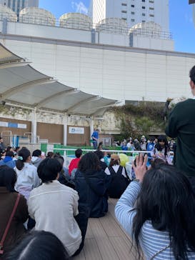 サンシャイン水族館に投稿された画像（2026/2/27）