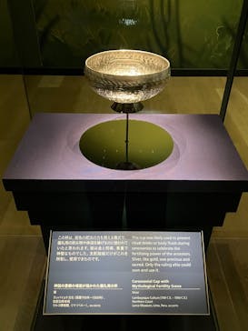 CREVIA マチュピチュ展／CREVIA MACHU PICCHU AND THE GOLDEN EMPIRES OF PERUに投稿された画像（2026/2/27）