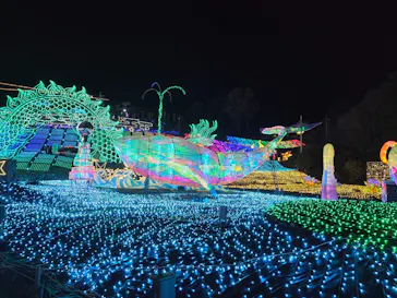 伊豆高原グランイルミに投稿された画像（2026/2/27）