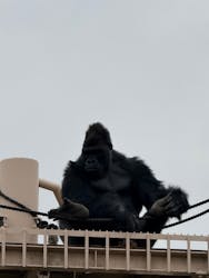 名古屋市東山動植物園に投稿された画像（2026/2/27）