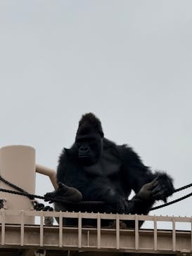 名古屋市東山動植物園に投稿された画像（2026/2/27）
