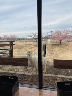 熊谷天然温泉　花湯スパリゾートに投稿された画像（2026/2/27）