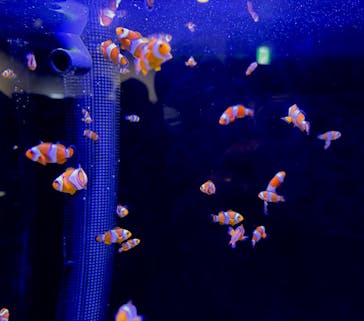 マクセル アクアパーク品川に投稿された画像（2026/2/27）